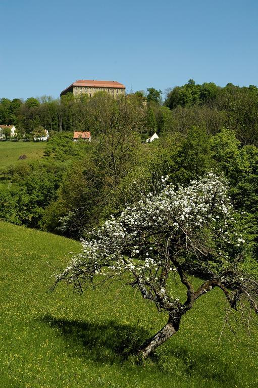 Gasthof Adler Schillingsfuerst Luaran gambar